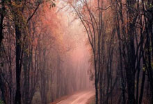 龙8体育：中超第14輪武漢長江2-2河南嵩山龍門 多拉多故意撞翻主裁馬寧被罰下.