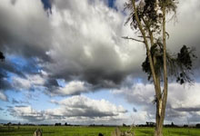 龙8体育:周鵬:球傳遞不夠流暢 內線缺乏衝擊力是我們的老問題.