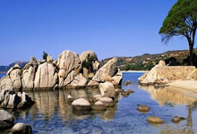 俄称俄乌冲突临时停火不可接受 乌方试图与美方就冲突前景密集接触.